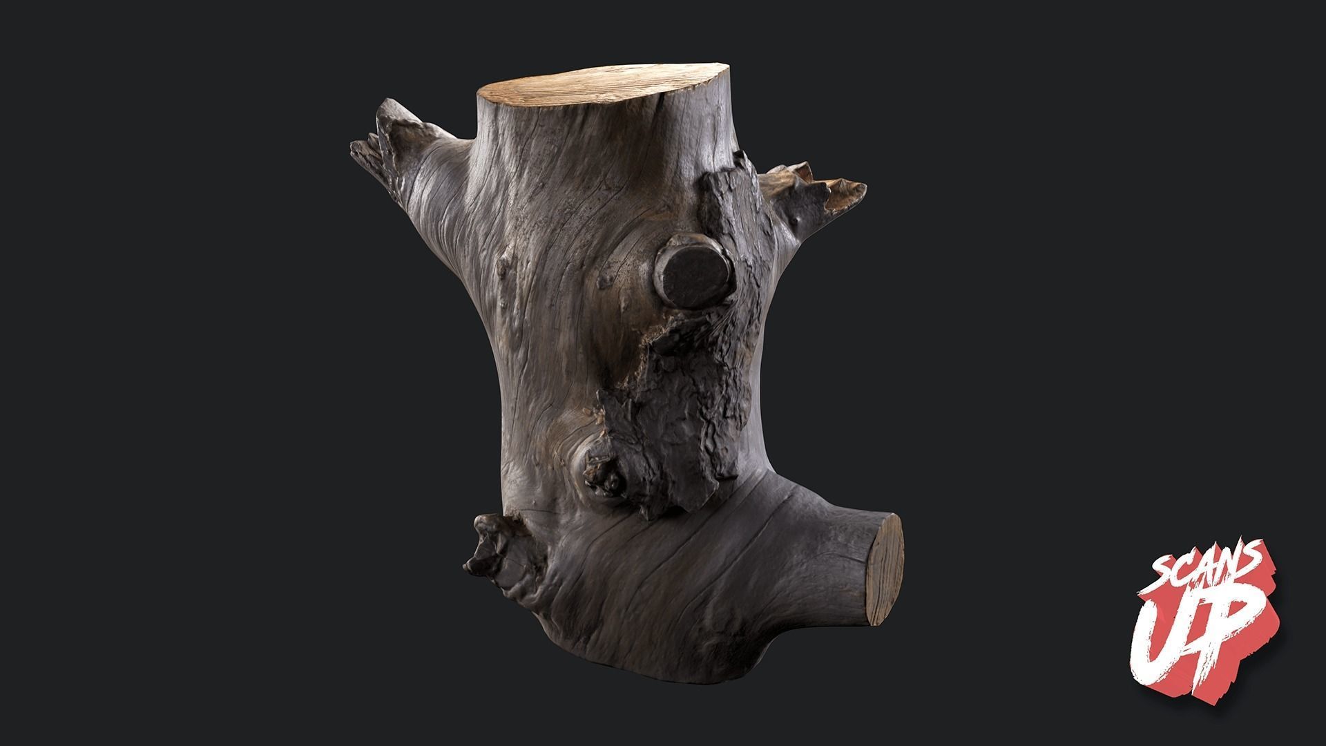 Silver Logs Pack 01- Stonelake3D Low-poly 3D model_1