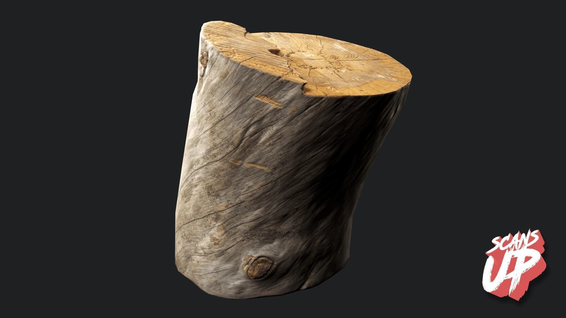 Silver Logs Pack 01- Stonelake3D Low-poly 3D model_8