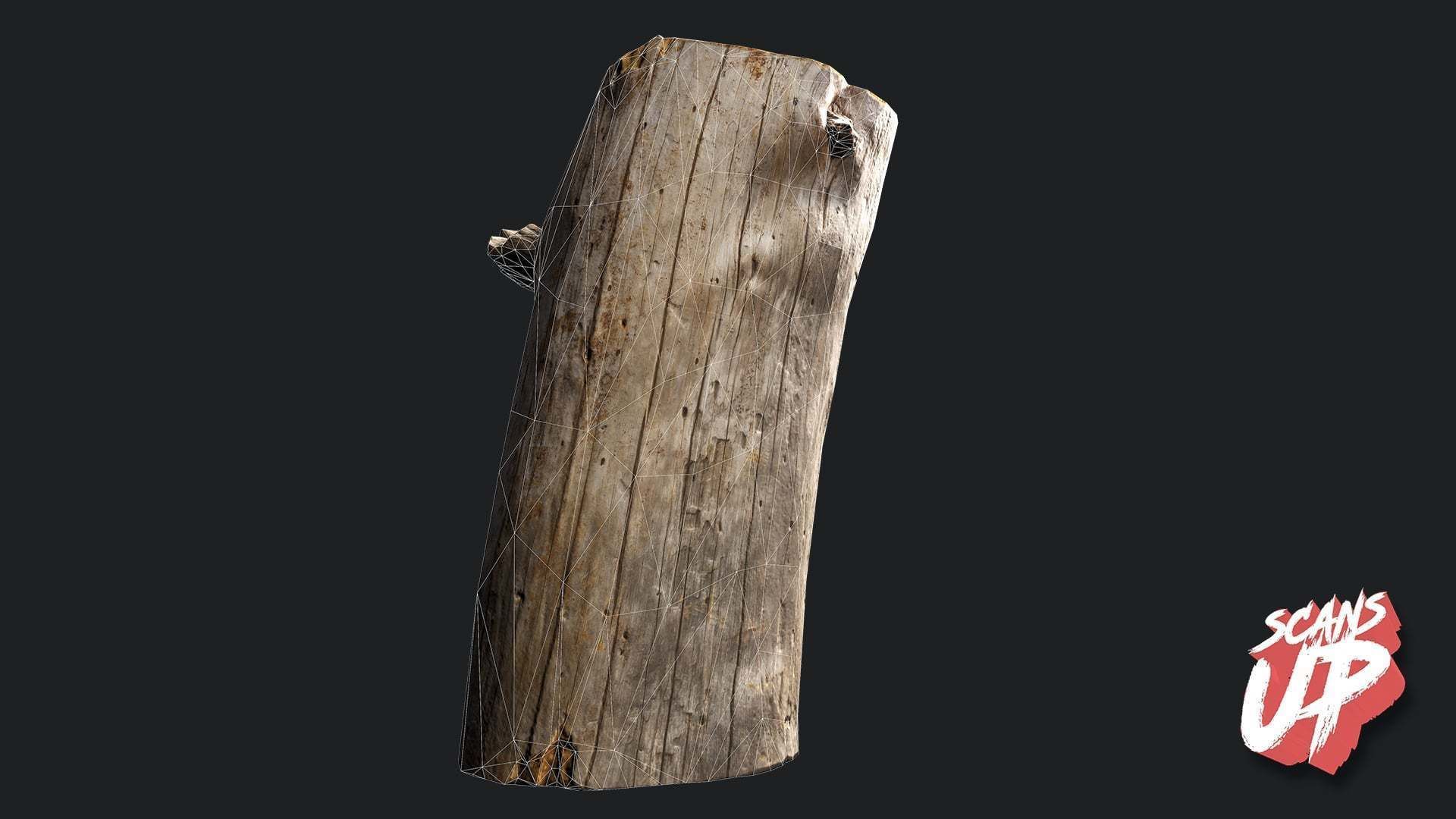 Silver Logs Pack 01- Stonelake3D Low-poly 3D model_6