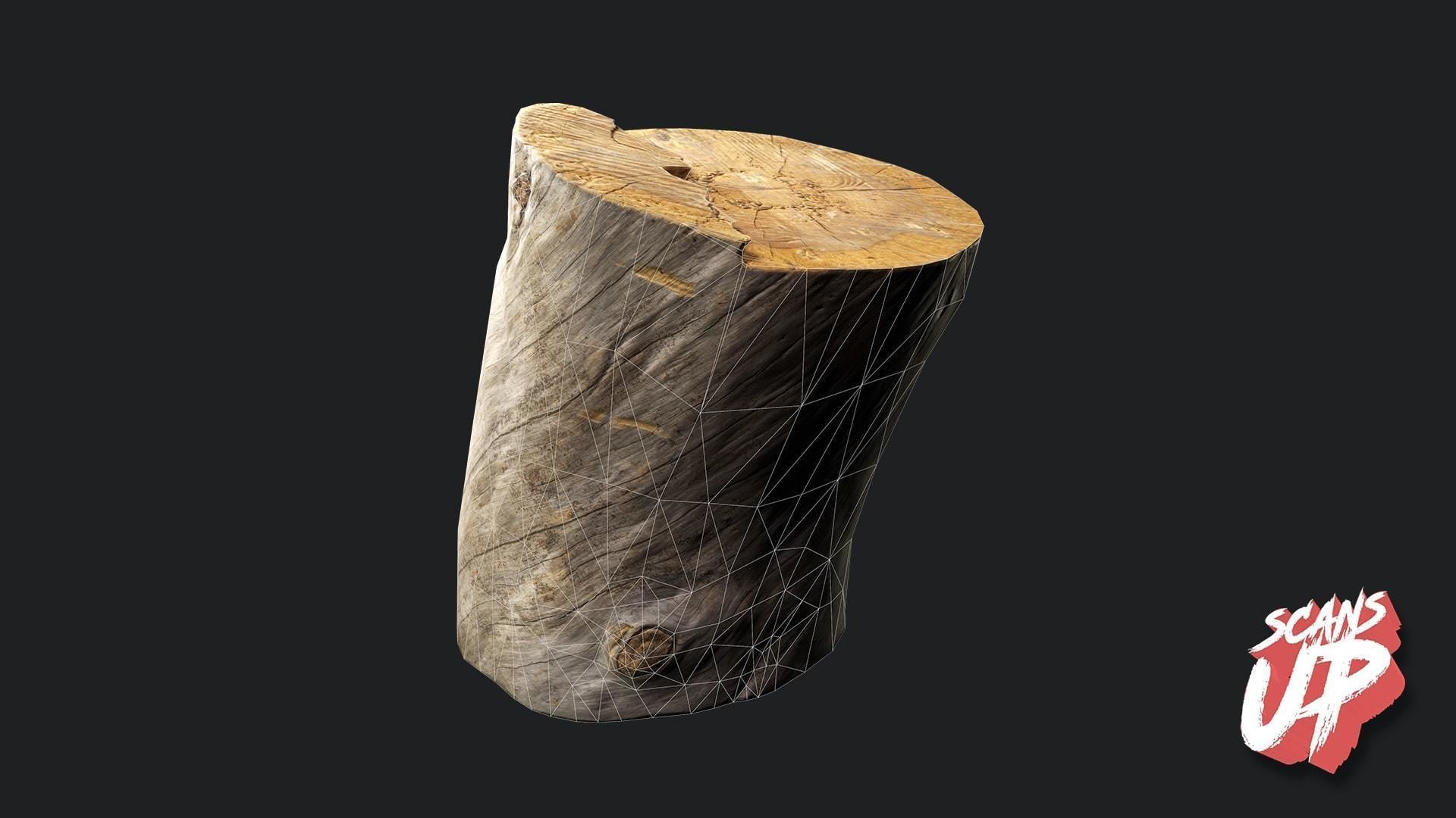 Silver Logs Pack 01- Stonelake3D Low-poly 3D model_9
