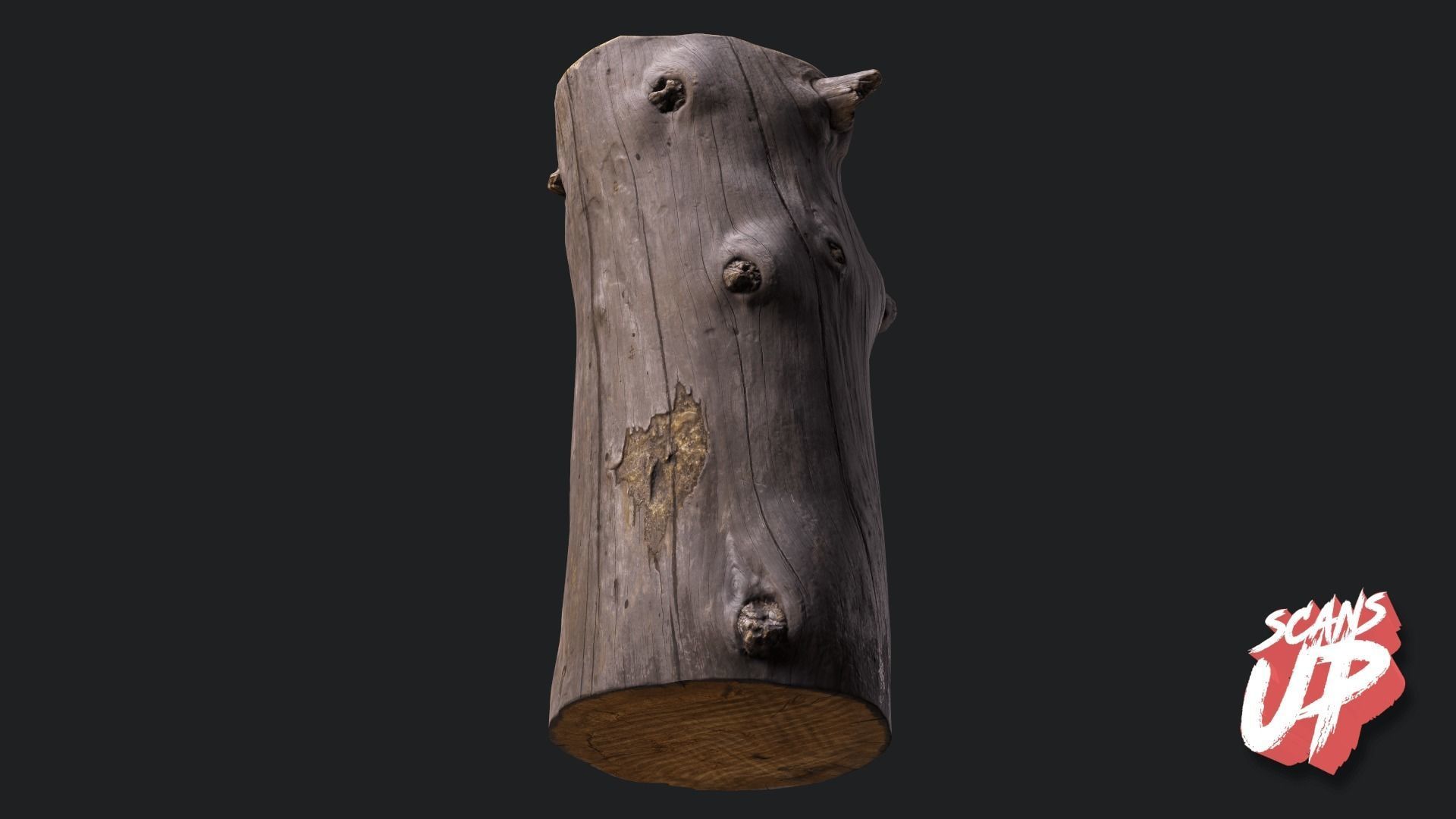 Silver Logs Pack 01- Stonelake3D Low-poly 3D model_5