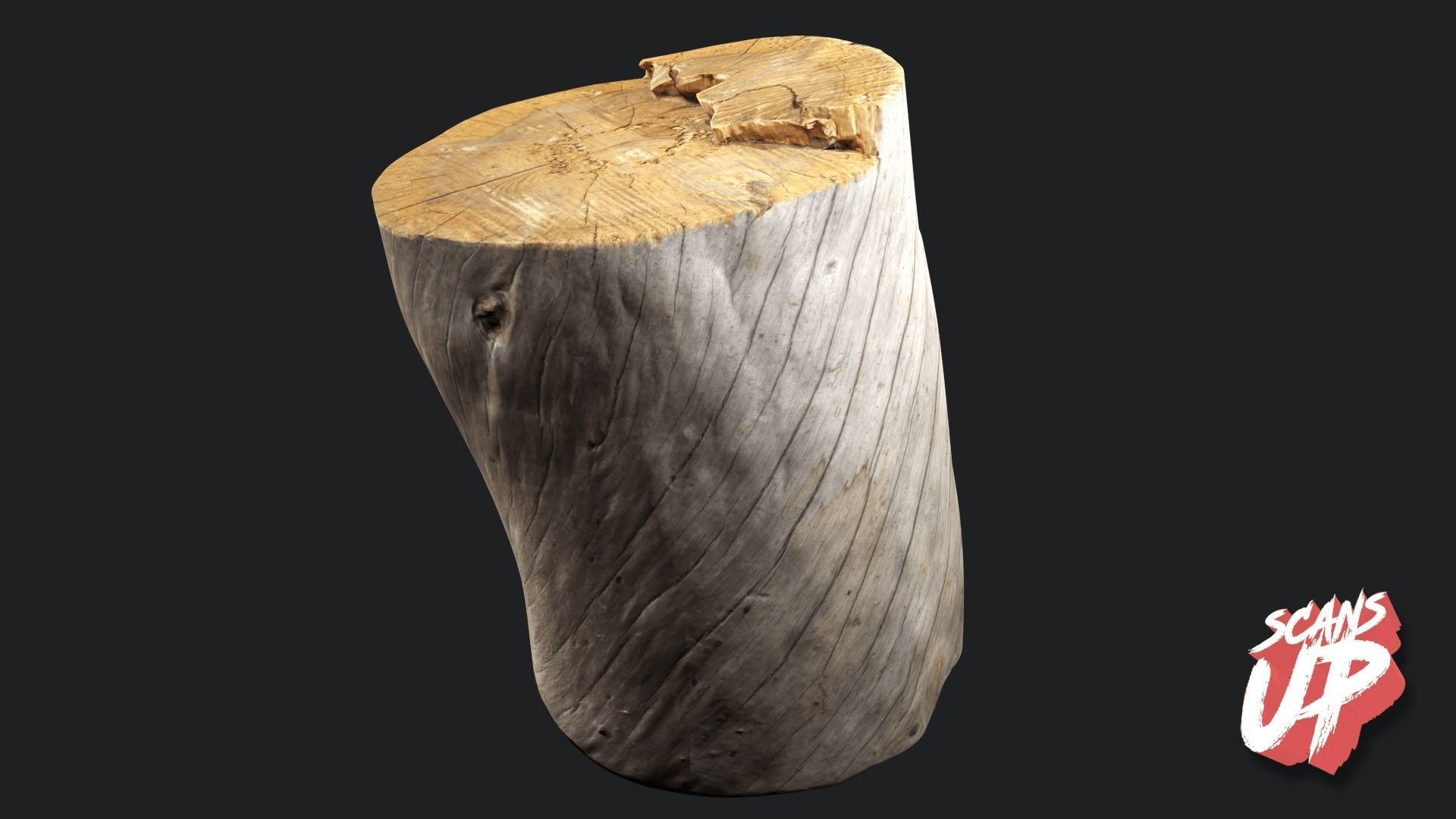 Silver Logs Pack 01- Stonelake3D Low-poly 3D model_7
