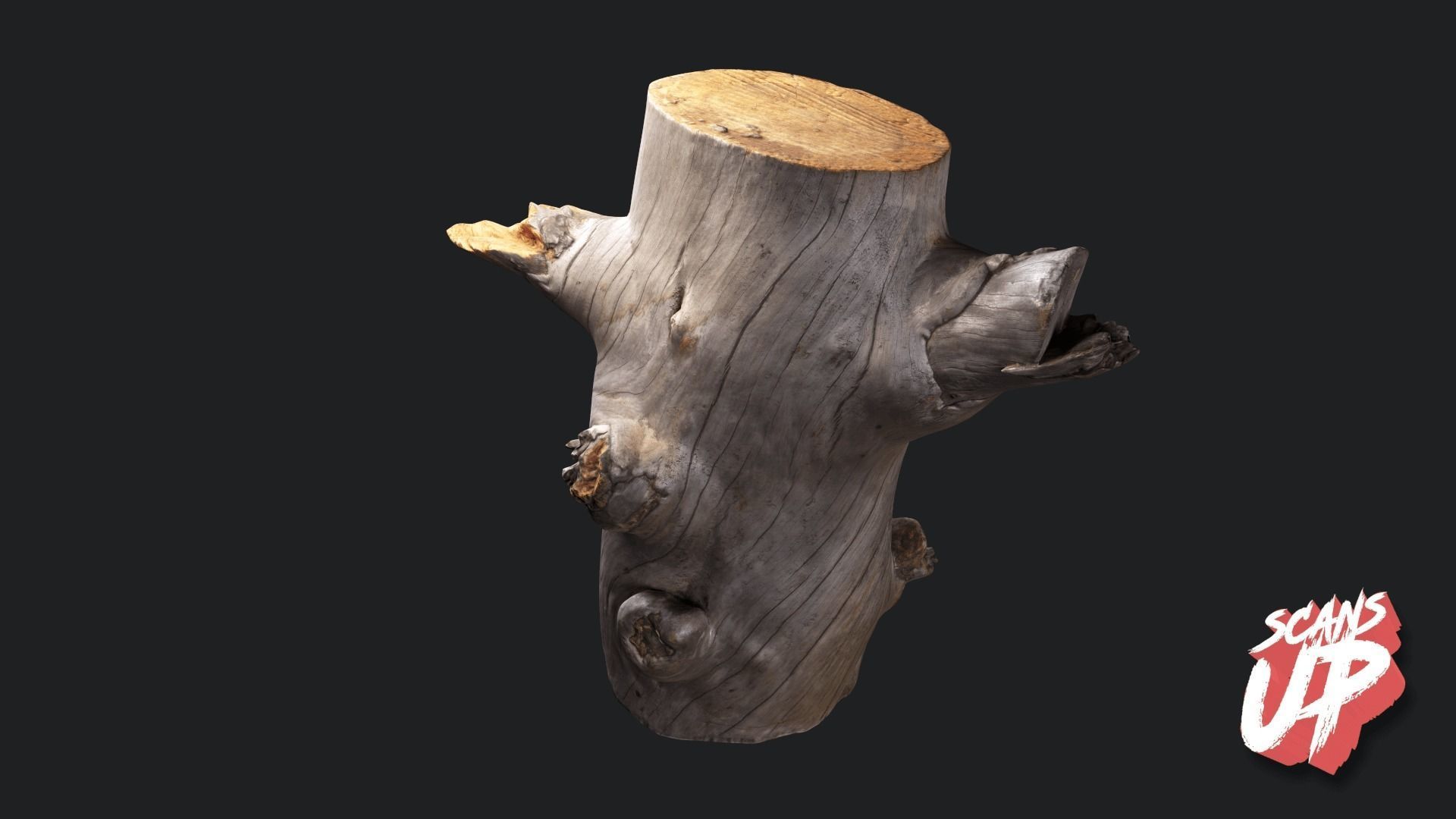 Silver Logs Pack 01- Stonelake3D Low-poly 3D model_2