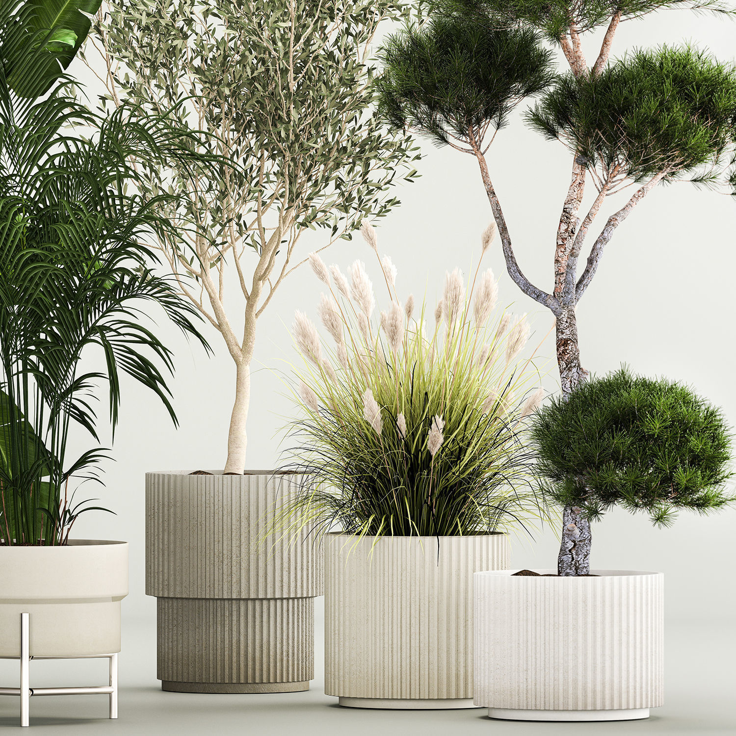 Set of potted plants olive palm strelitzia 1198 3D model_2