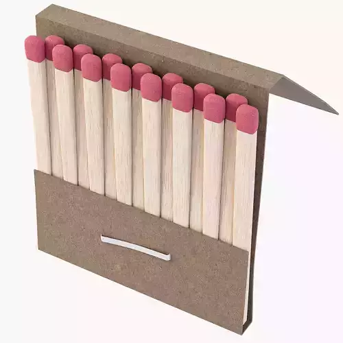 Book Of Matches 3D model