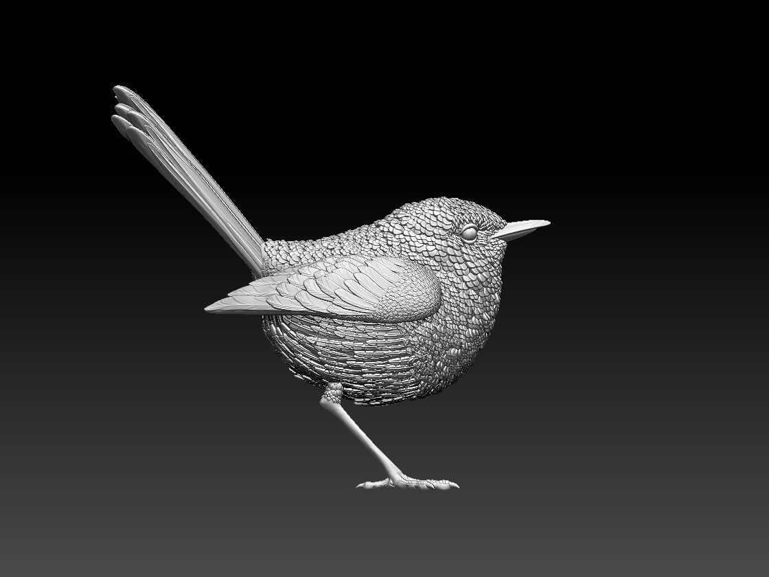 WREN bird 3D print model_68
