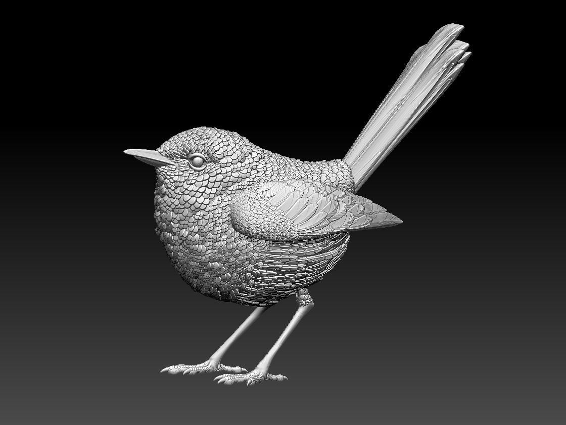 WREN bird 3D print model_17