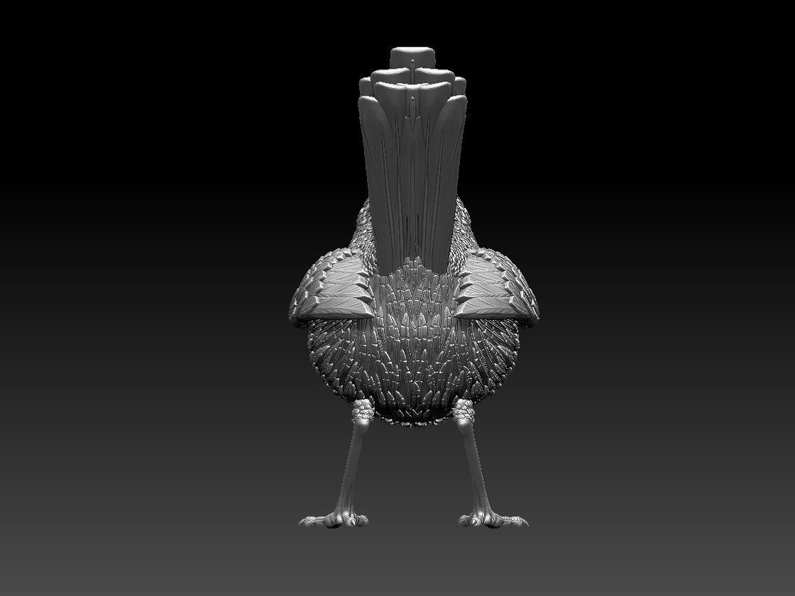 WREN bird 3D print model_27