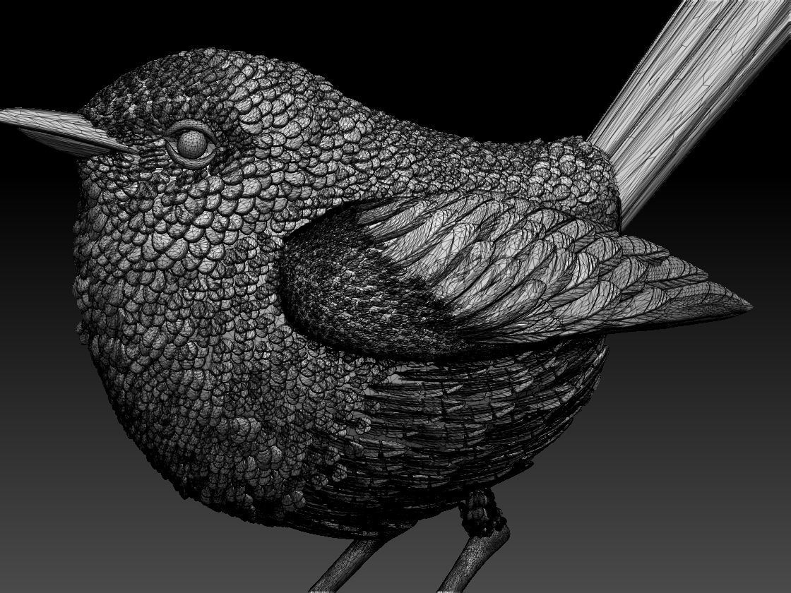 WREN bird 3D print model_50