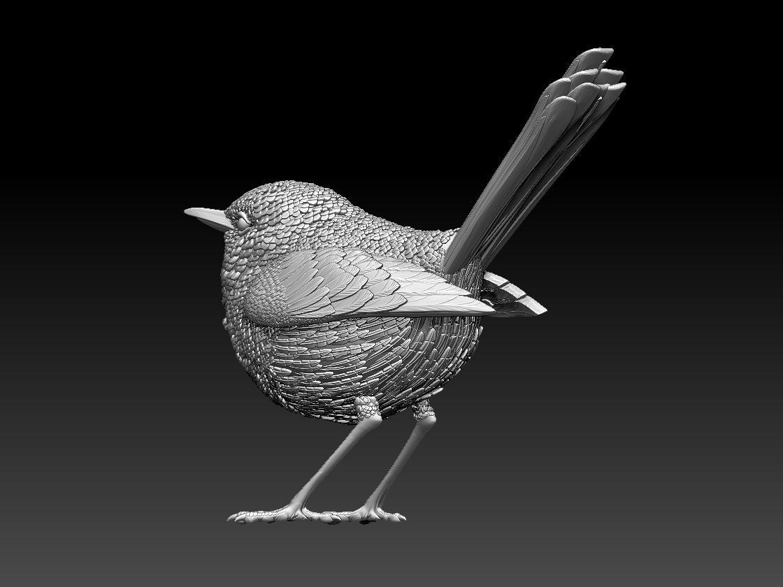WREN bird 3D print model_59