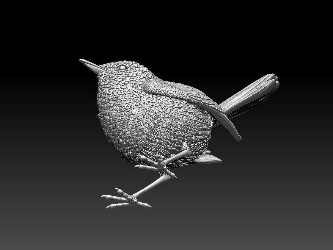 WREN bird 3D print model_20