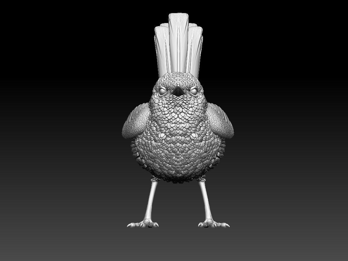 WREN bird 3D print model_9