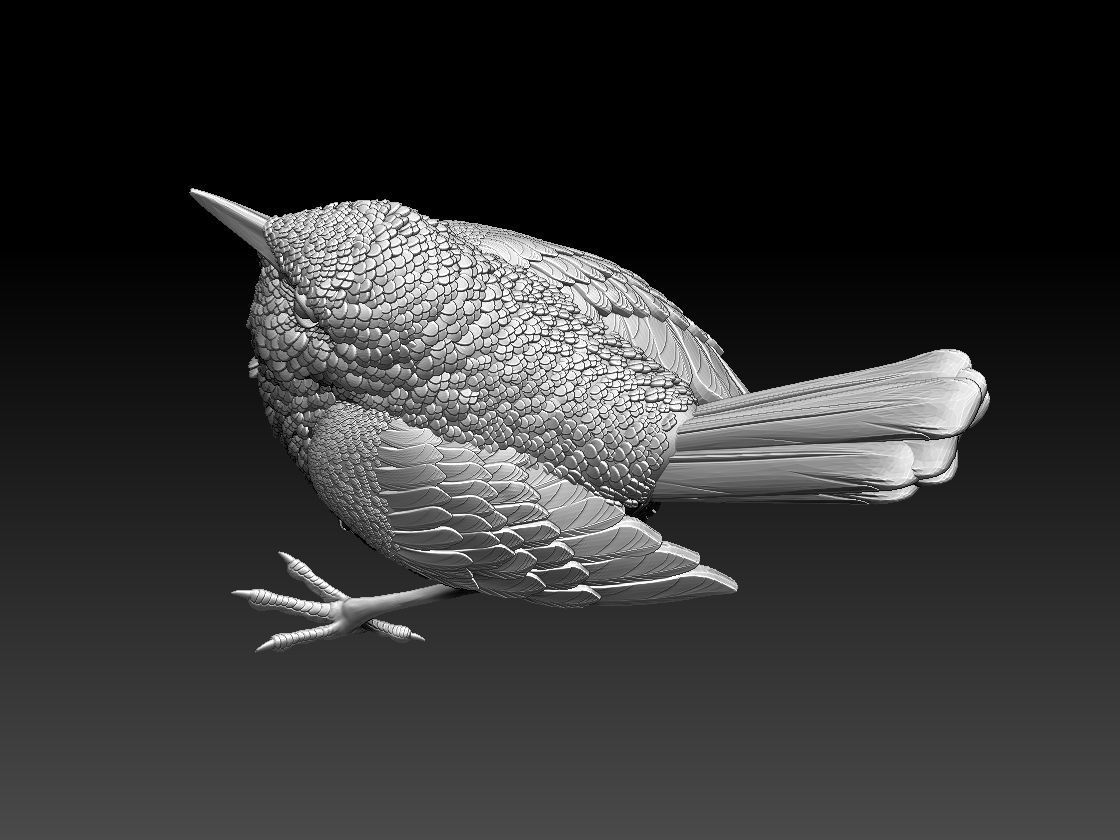 WREN bird 3D print model_55