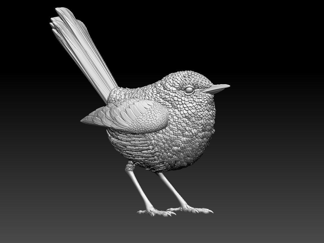 WREN bird 3D print model_69
