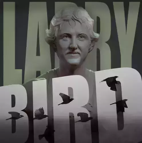 Larry Bird 3D print model