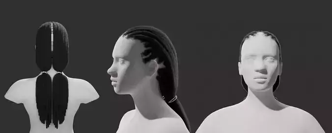 Double Ponytail Dreadlocks