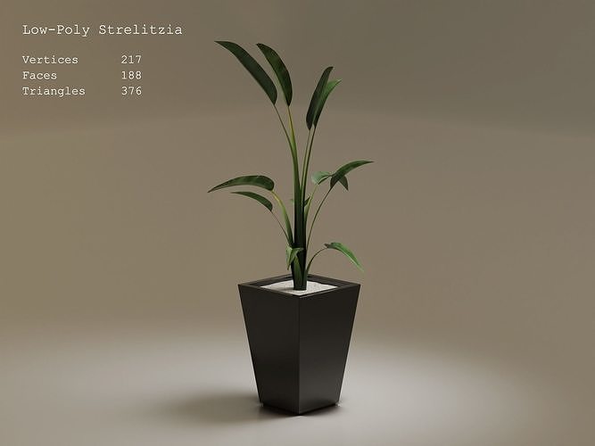 Low-Poly Strelitzia plant in pot Low-poly 3D model