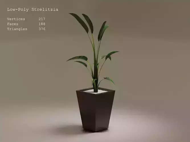 Low-Poly Strelitzia plant in pot