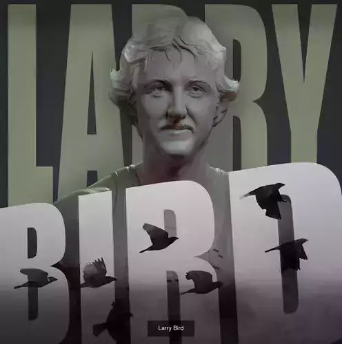 Larry Bird 3D Model Collection