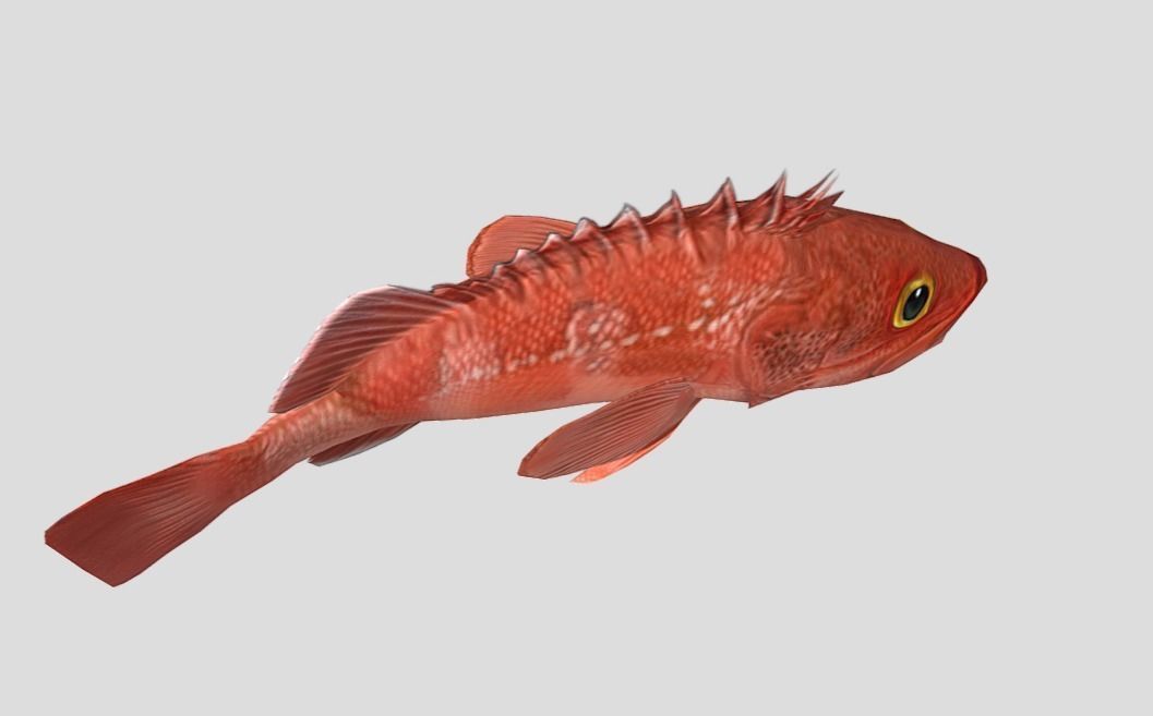 red rockfish Low-poly 3D model_11