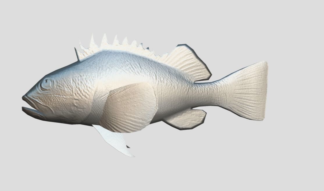 red rockfish Low-poly 3D model_6