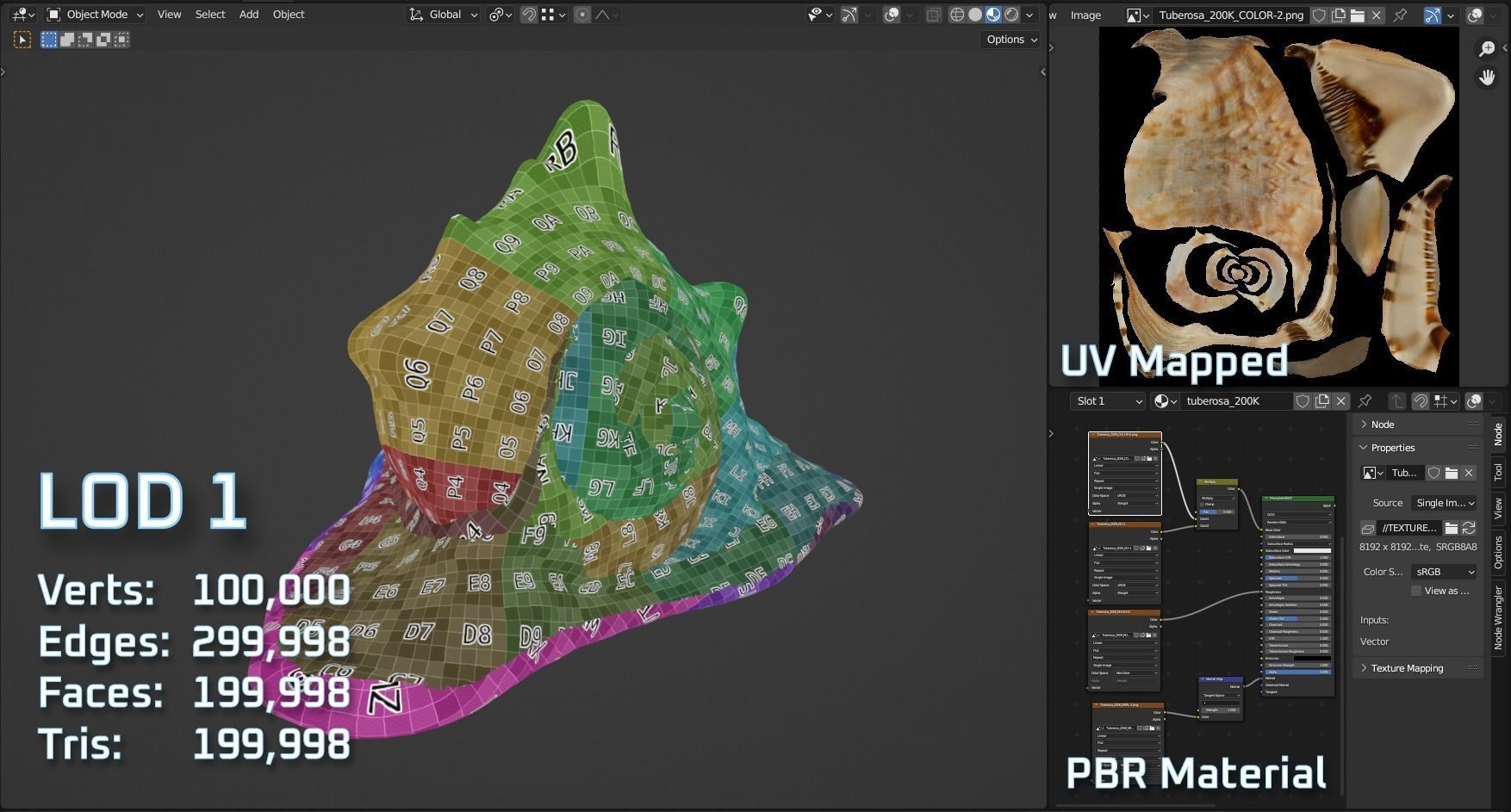 Seashel - Cassis tuberosa - 3D Scan Low-poly 3D model_11