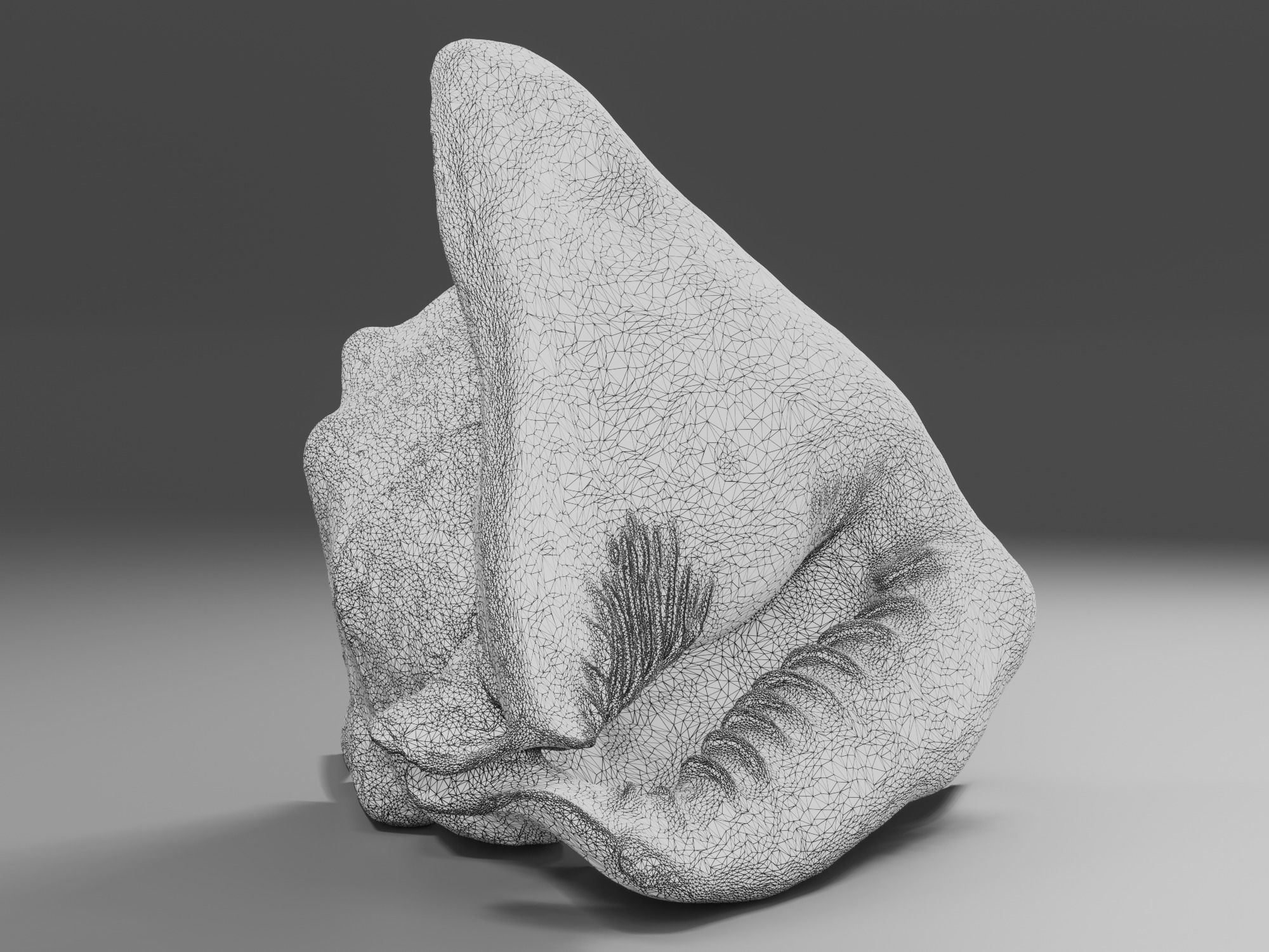 Seashel - Cassis tuberosa - 3D Scan Low-poly 3D model_20