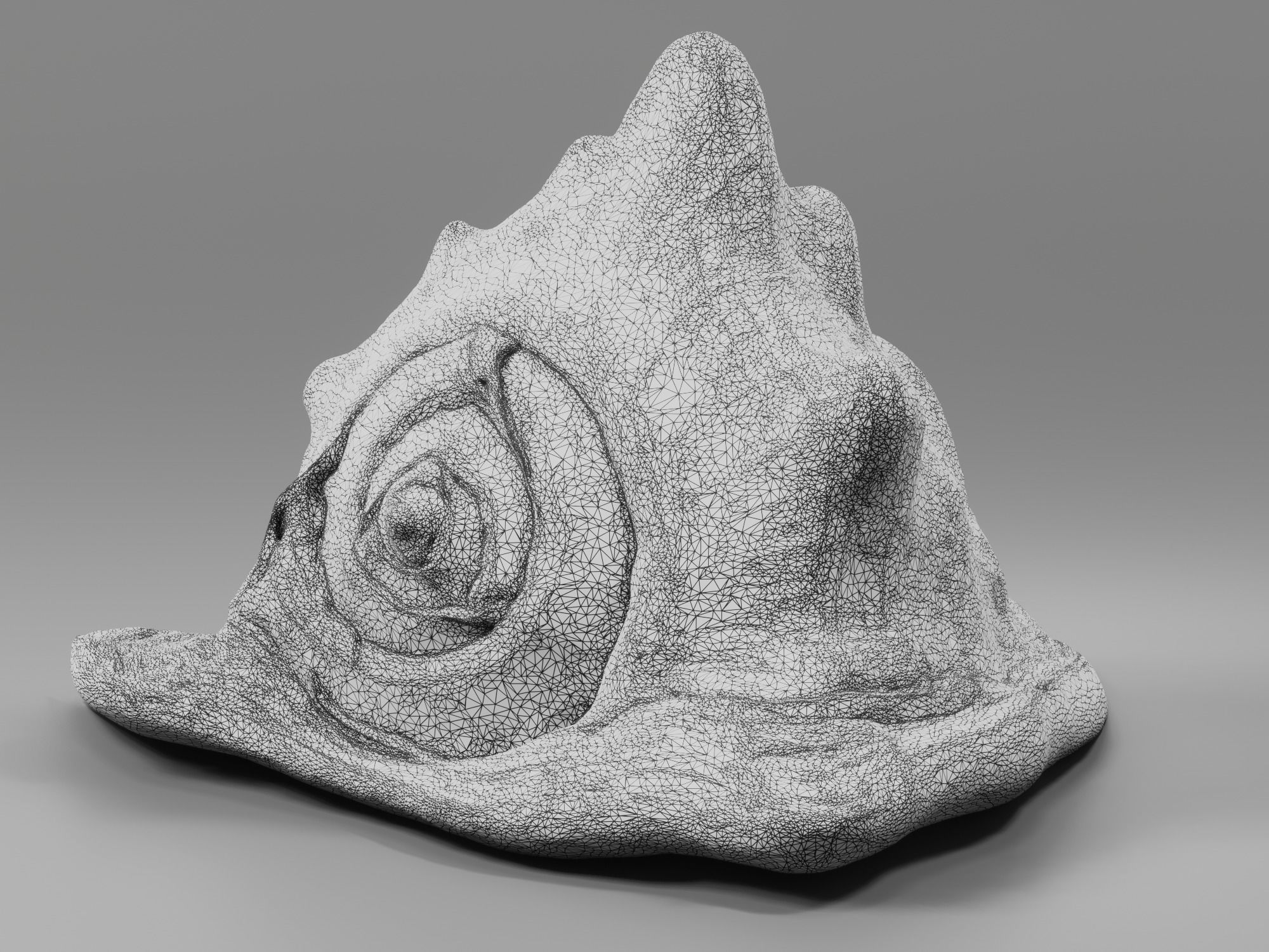 Seashel - Cassis tuberosa - 3D Scan Low-poly 3D model_13