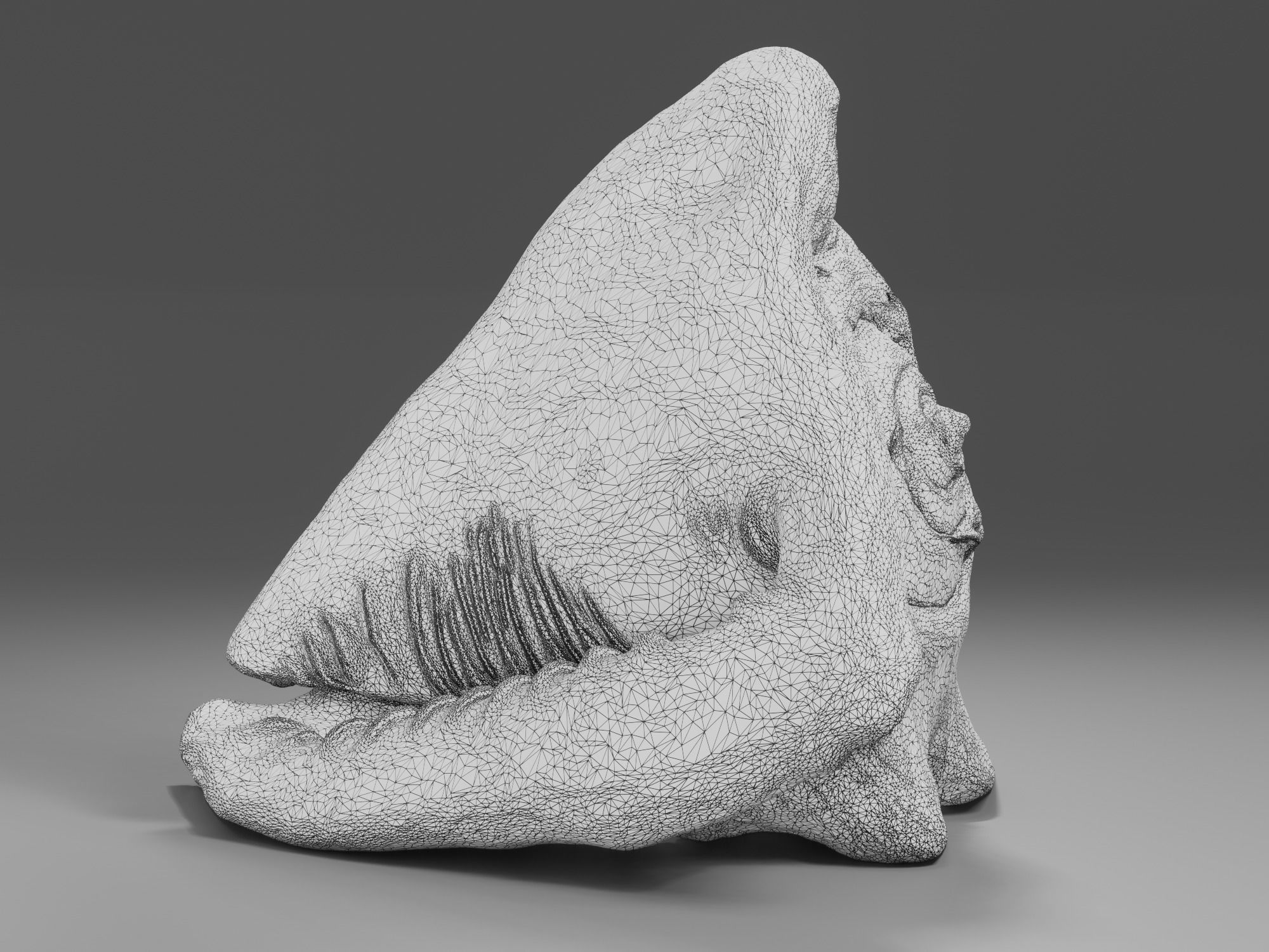 Seashel - Cassis tuberosa - 3D Scan Low-poly 3D model_18