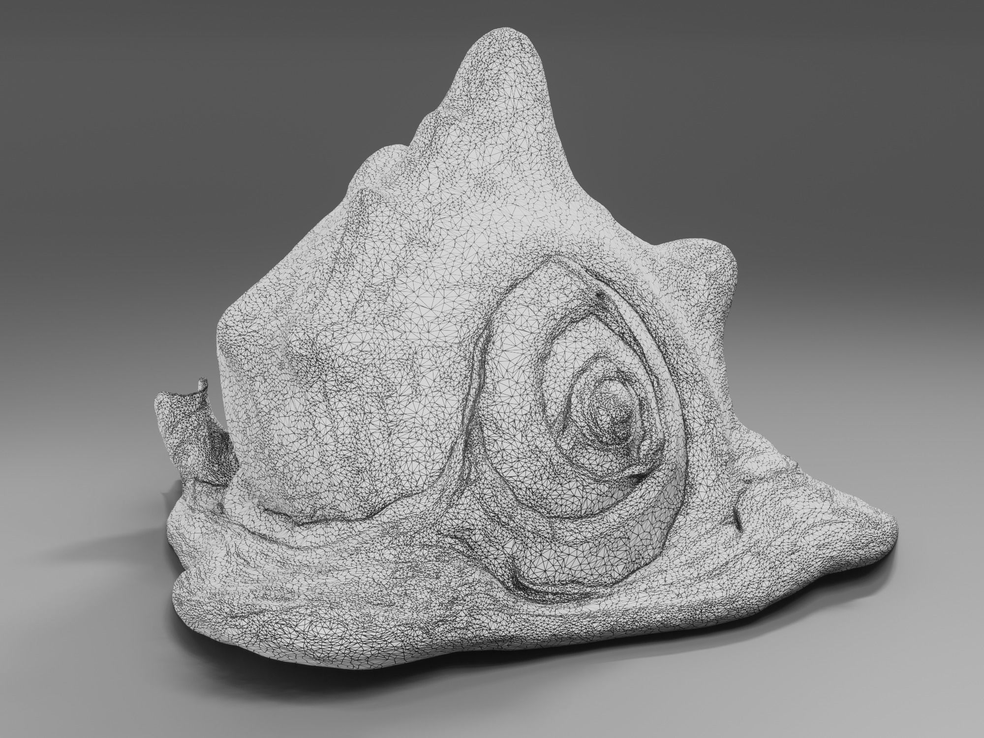 Seashel - Cassis tuberosa - 3D Scan Low-poly 3D model_14