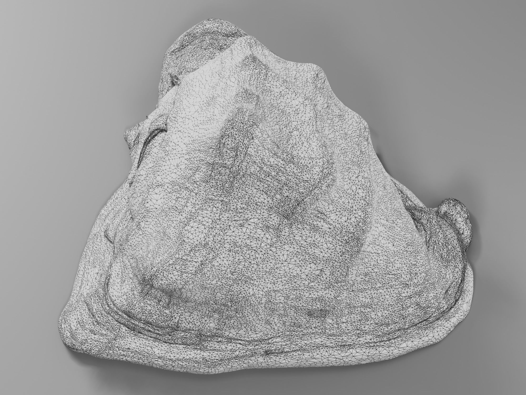 Seashel - Cassis tuberosa - 3D Scan Low-poly 3D model_16