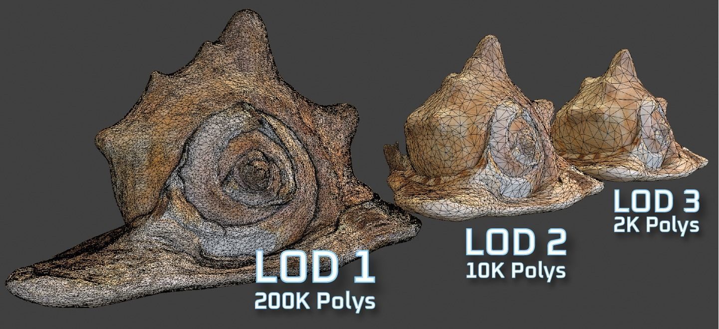 Seashel - Cassis tuberosa - 3D Scan Low-poly 3D model_10