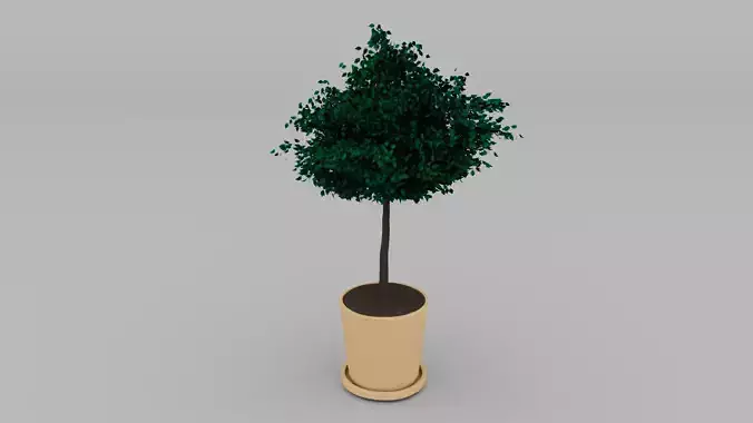 Tree Pot