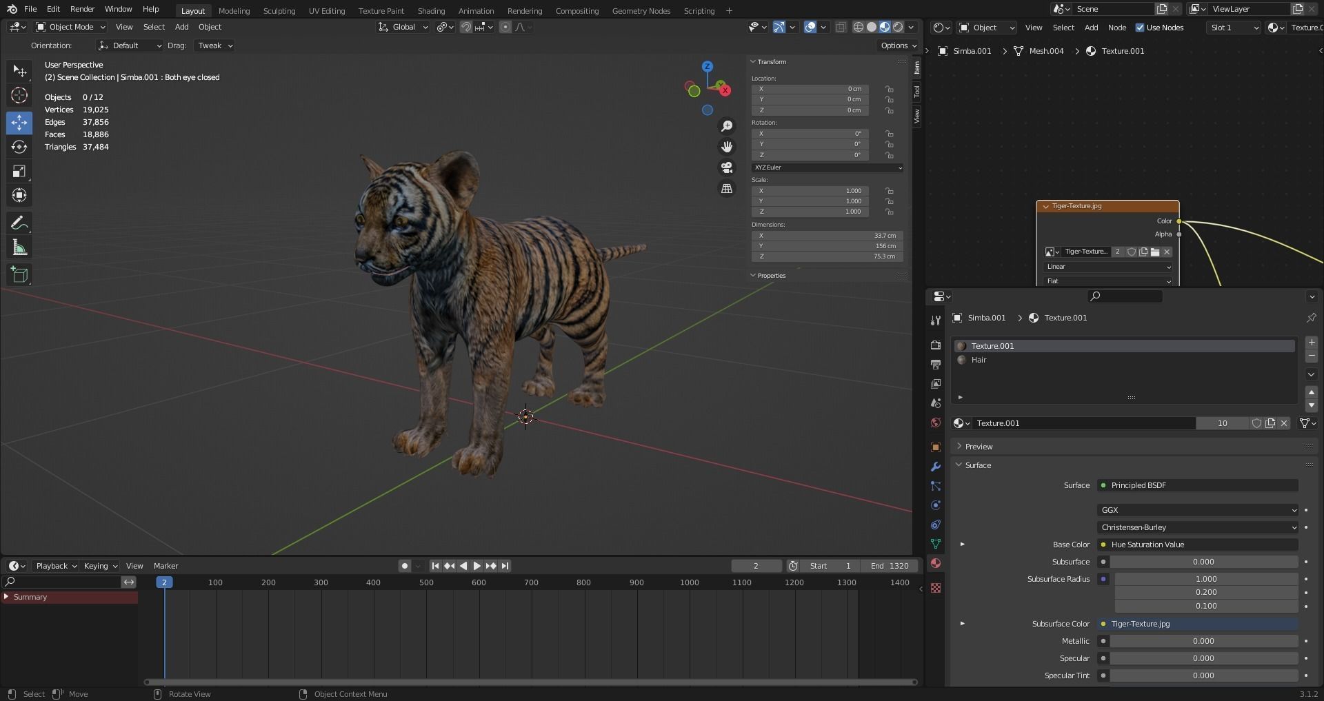 Fur Tiger Cub Rigged and Animated in Blender Low-poly 3D model_13