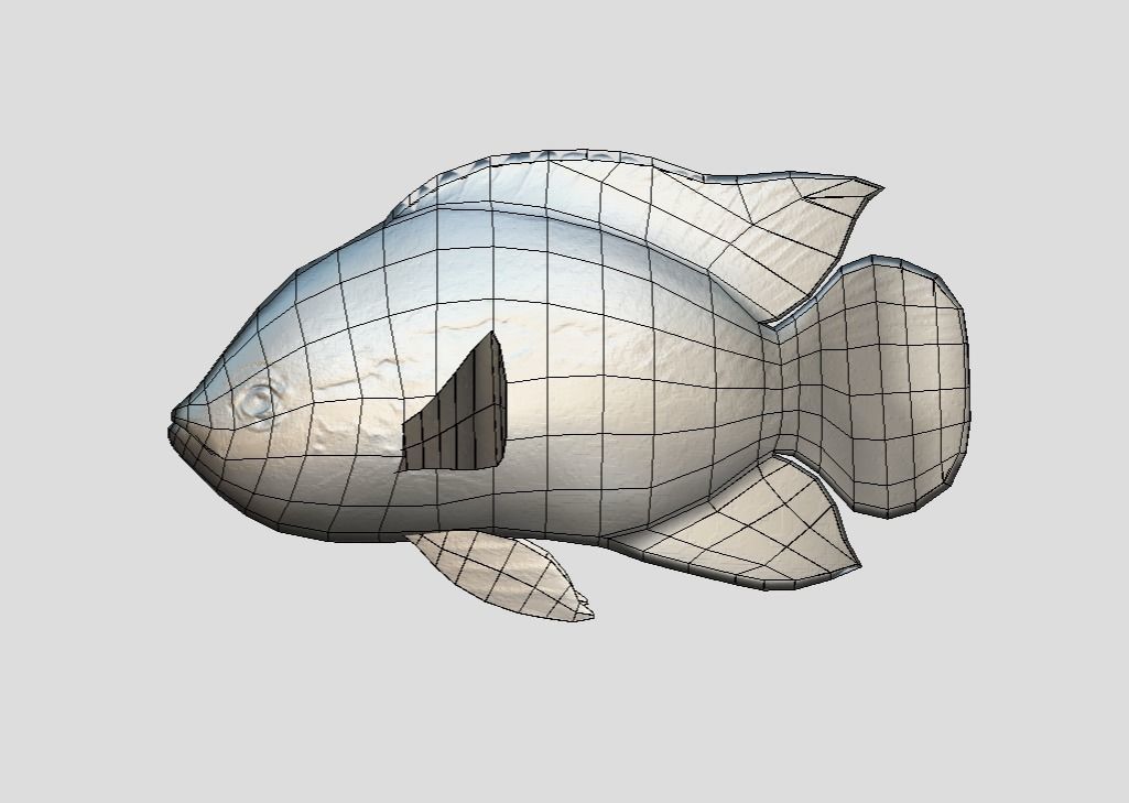 Rainbow Cichlid Low-poly 3D model_4