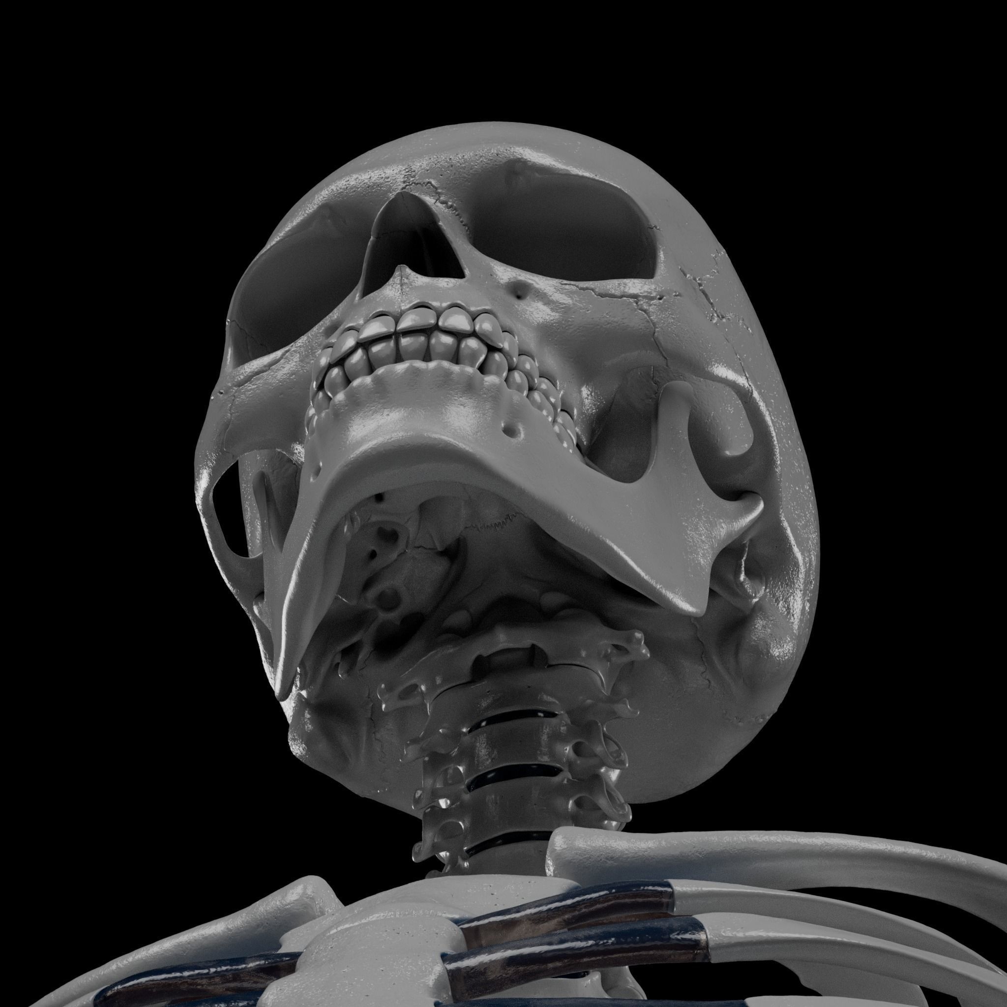 Human Skeleton - 3D Printing 3D print model_67