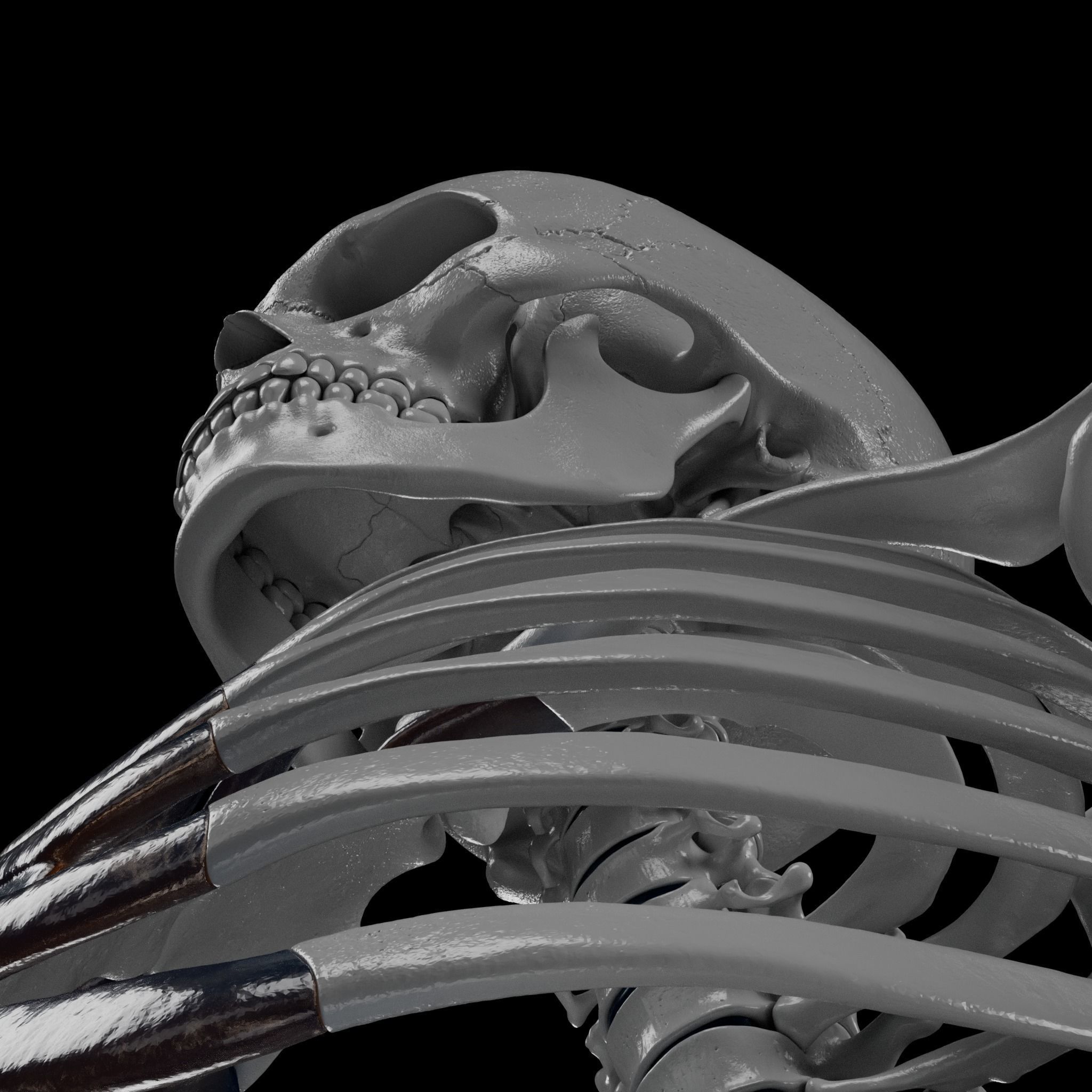 Human Skeleton - 3D Printing 3D print model_70