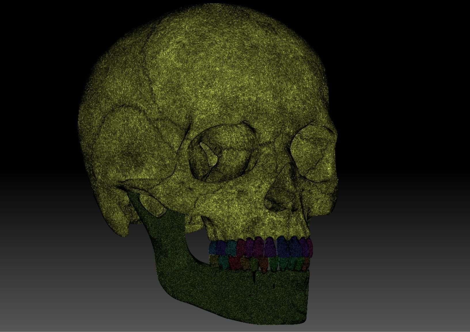 Human Skeleton - 3D Printing 3D print model_145