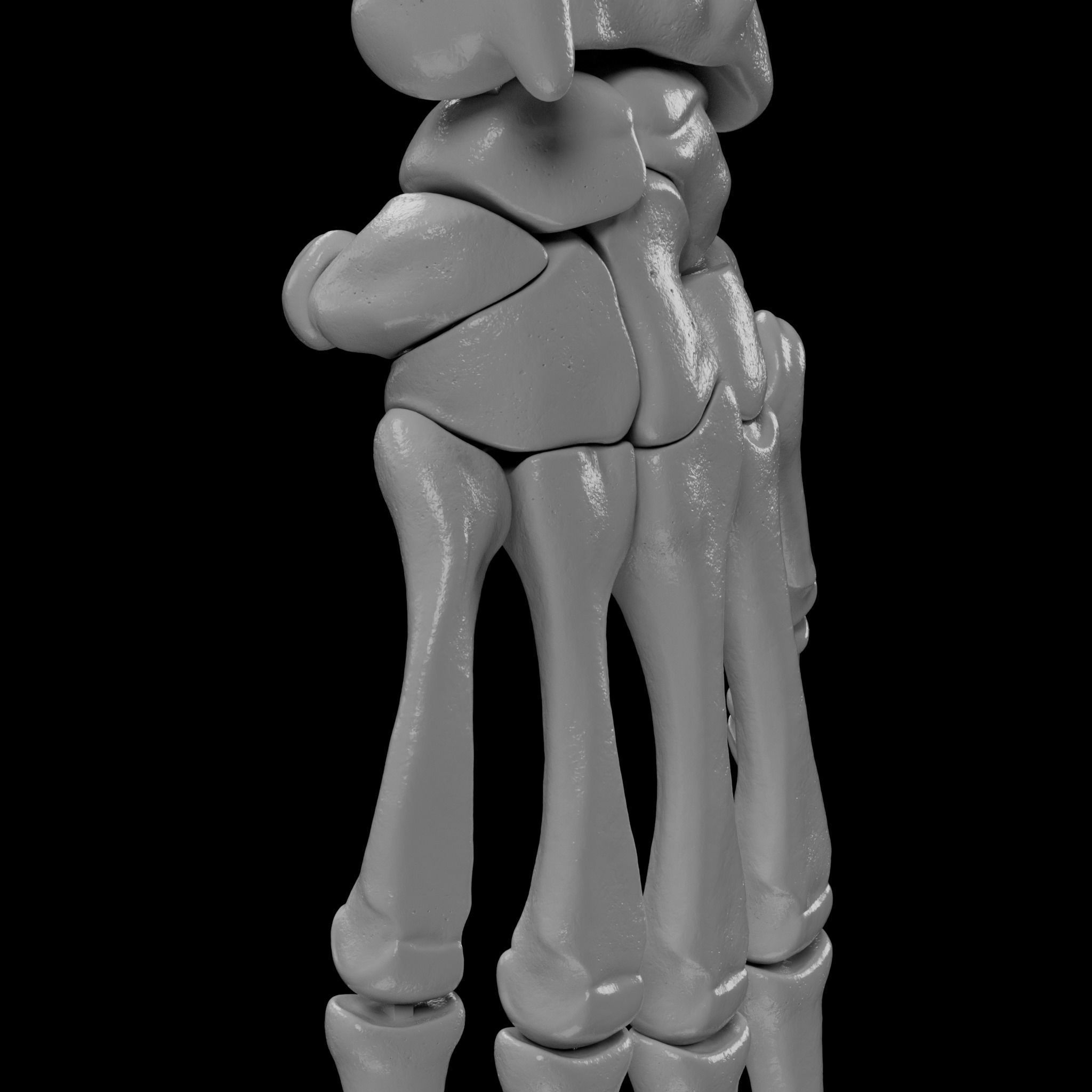 Human Skeleton - 3D Printing 3D print model_126