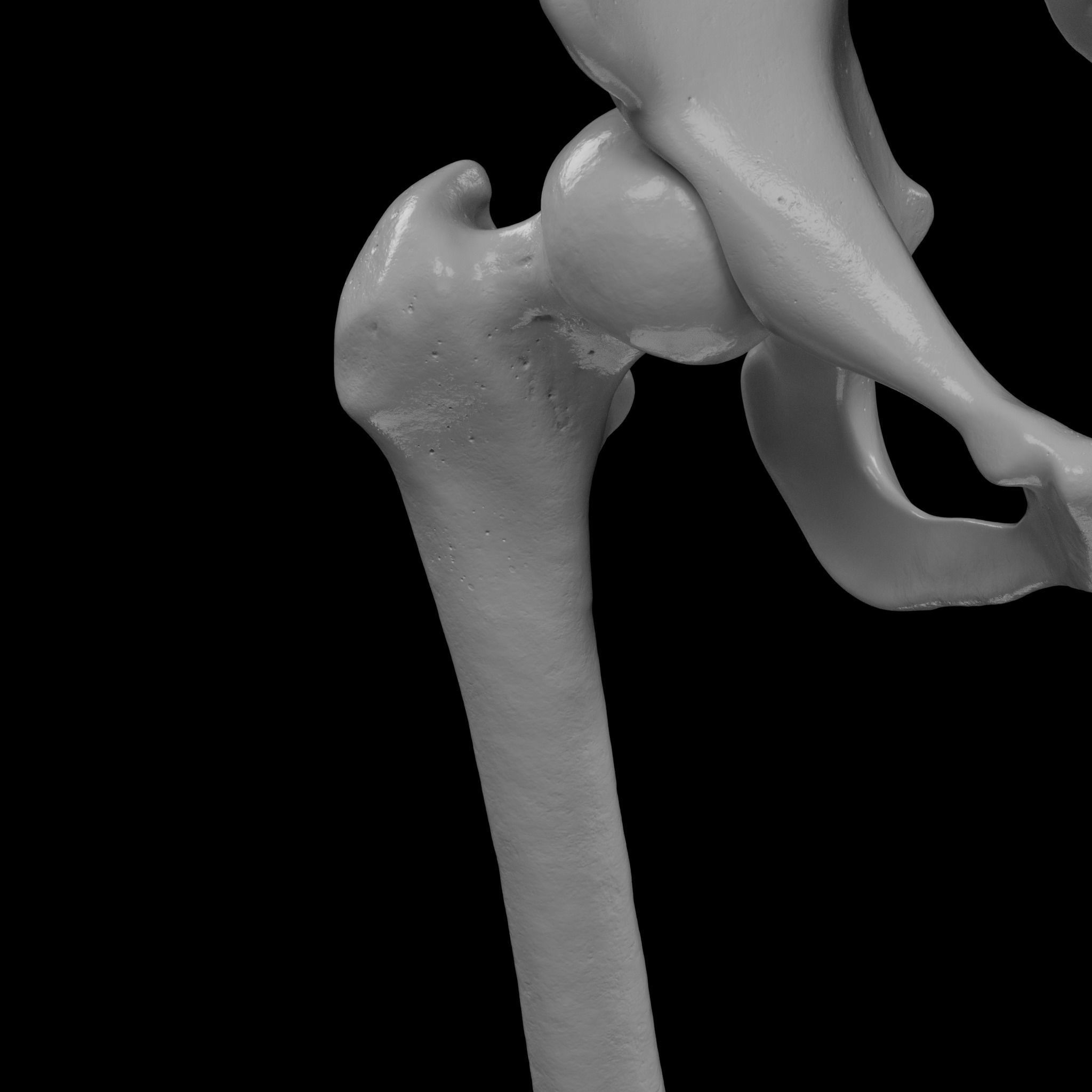 Human Skeleton - 3D Printing 3D print model_107