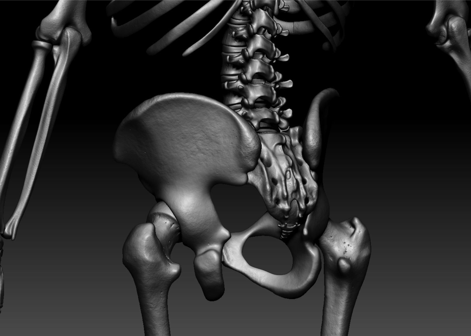 Human Skeleton - 3D Printing 3D print model_142