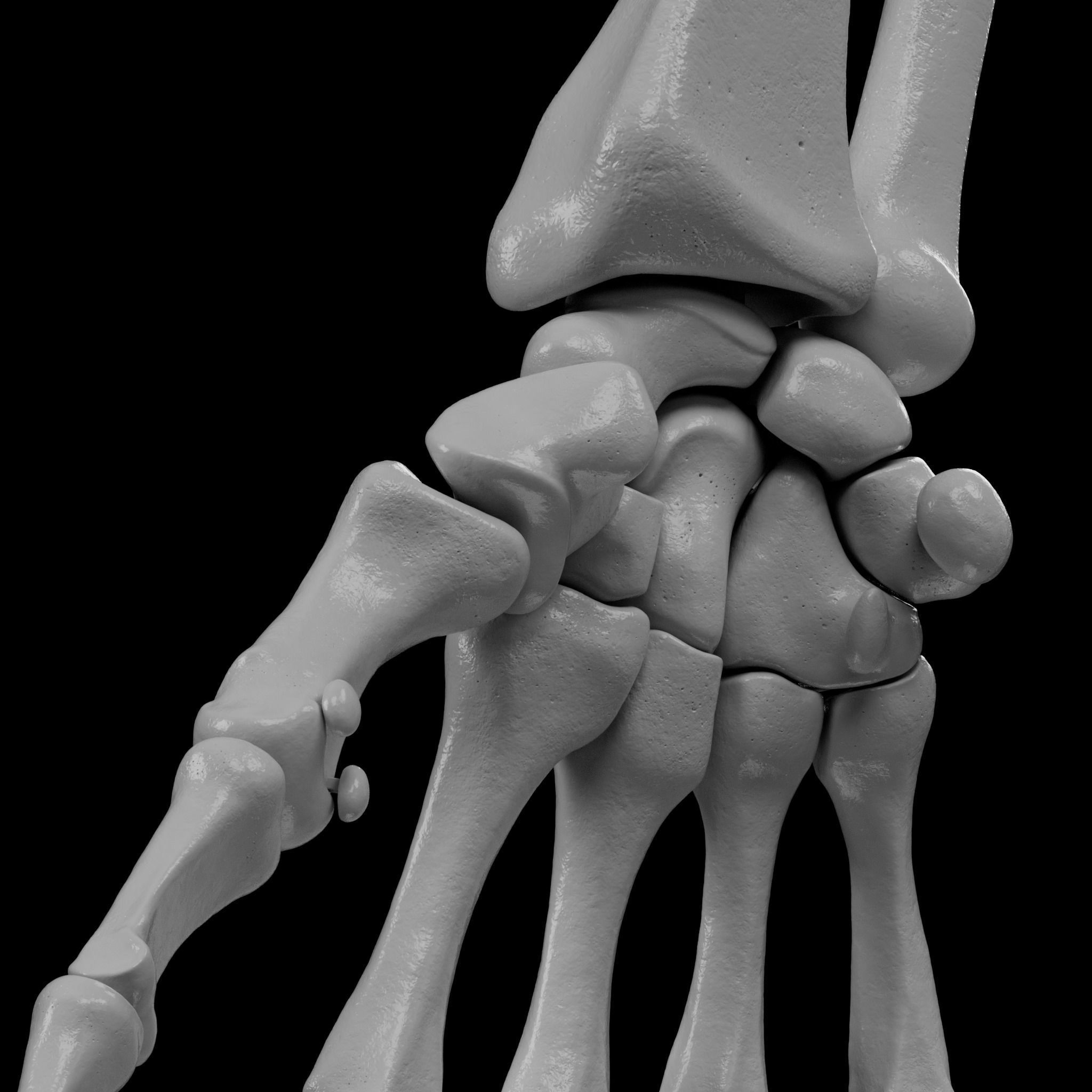 Human Skeleton - 3D Printing 3D print model_129