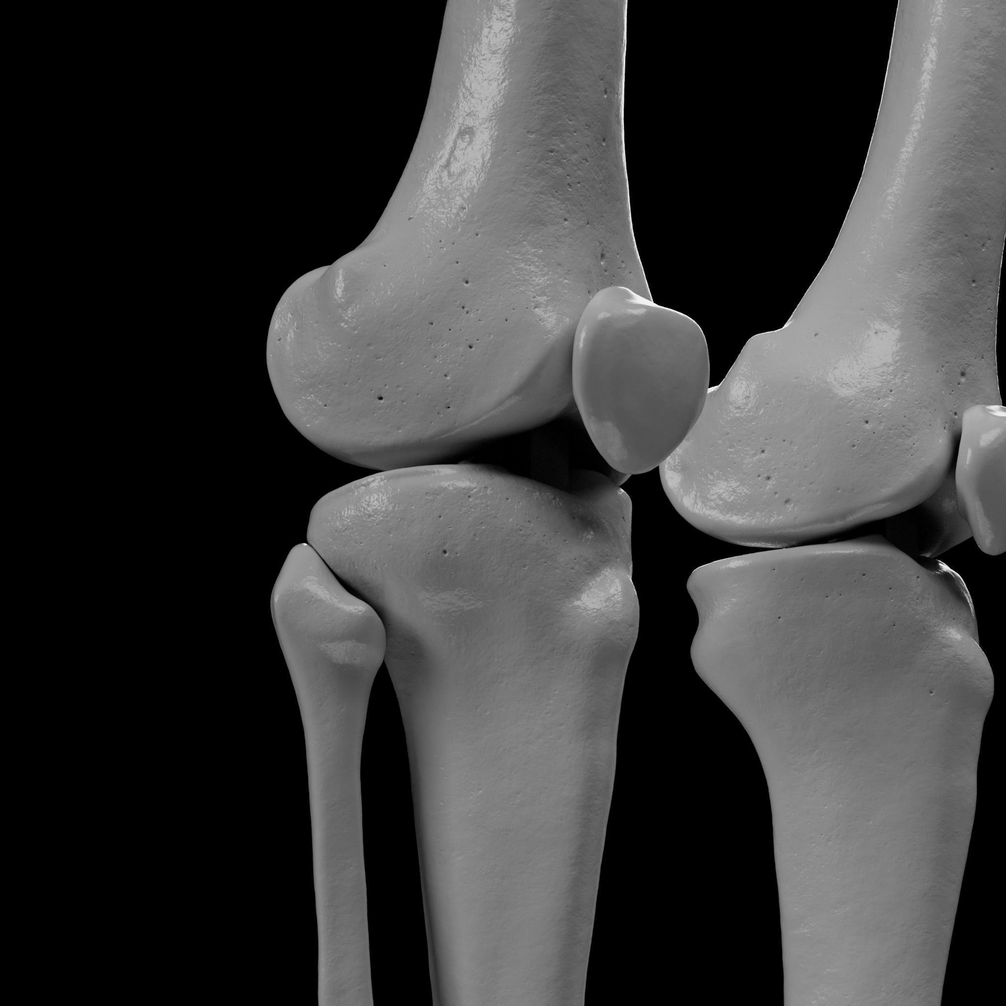 Human Skeleton - 3D Printing 3D print model_131