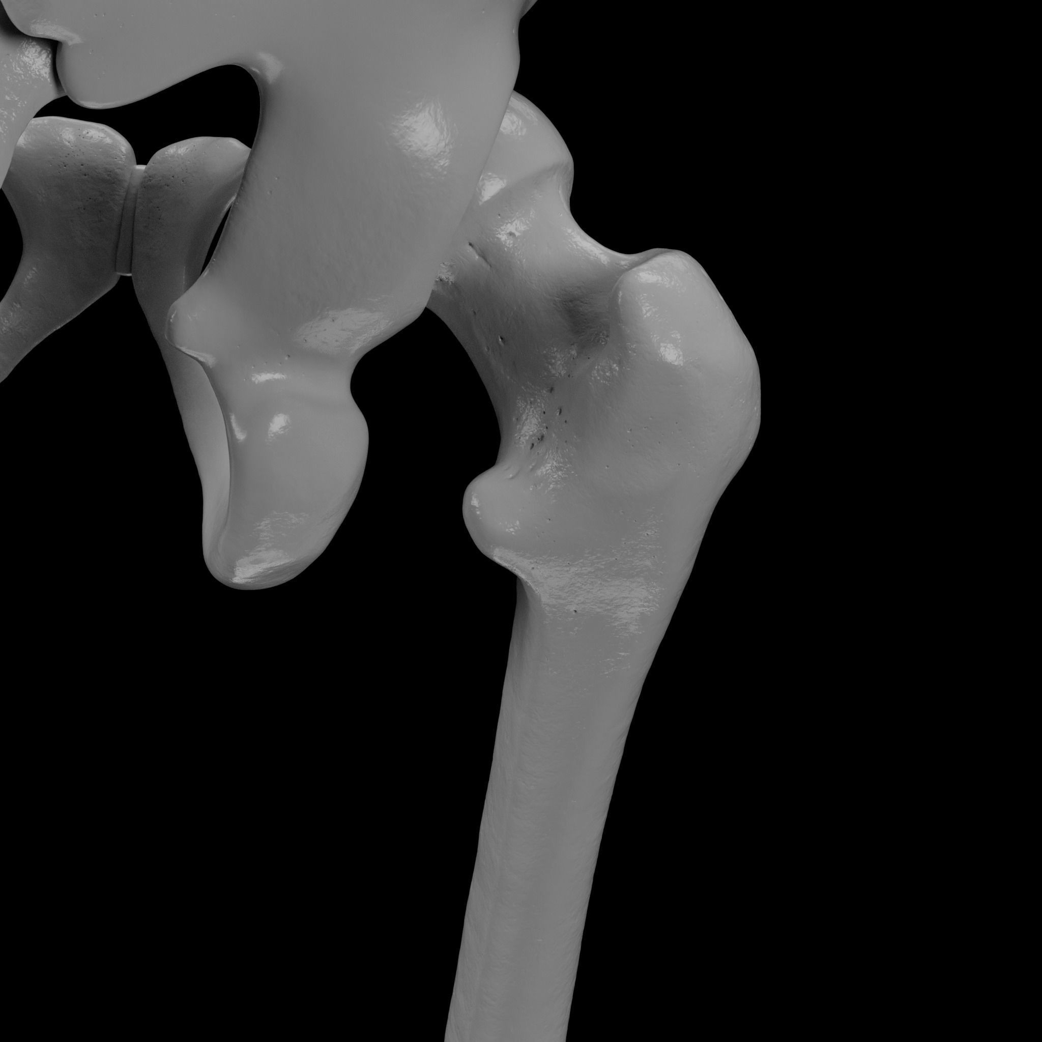 Human Skeleton - 3D Printing 3D print model_109