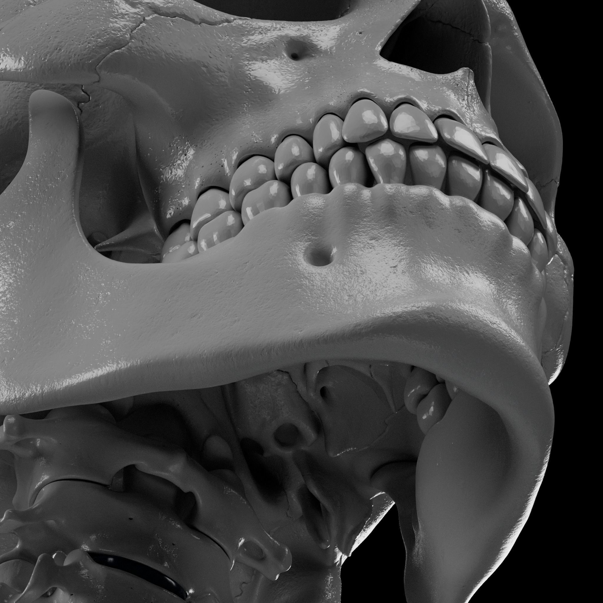 Human Skeleton - 3D Printing 3D print model_78