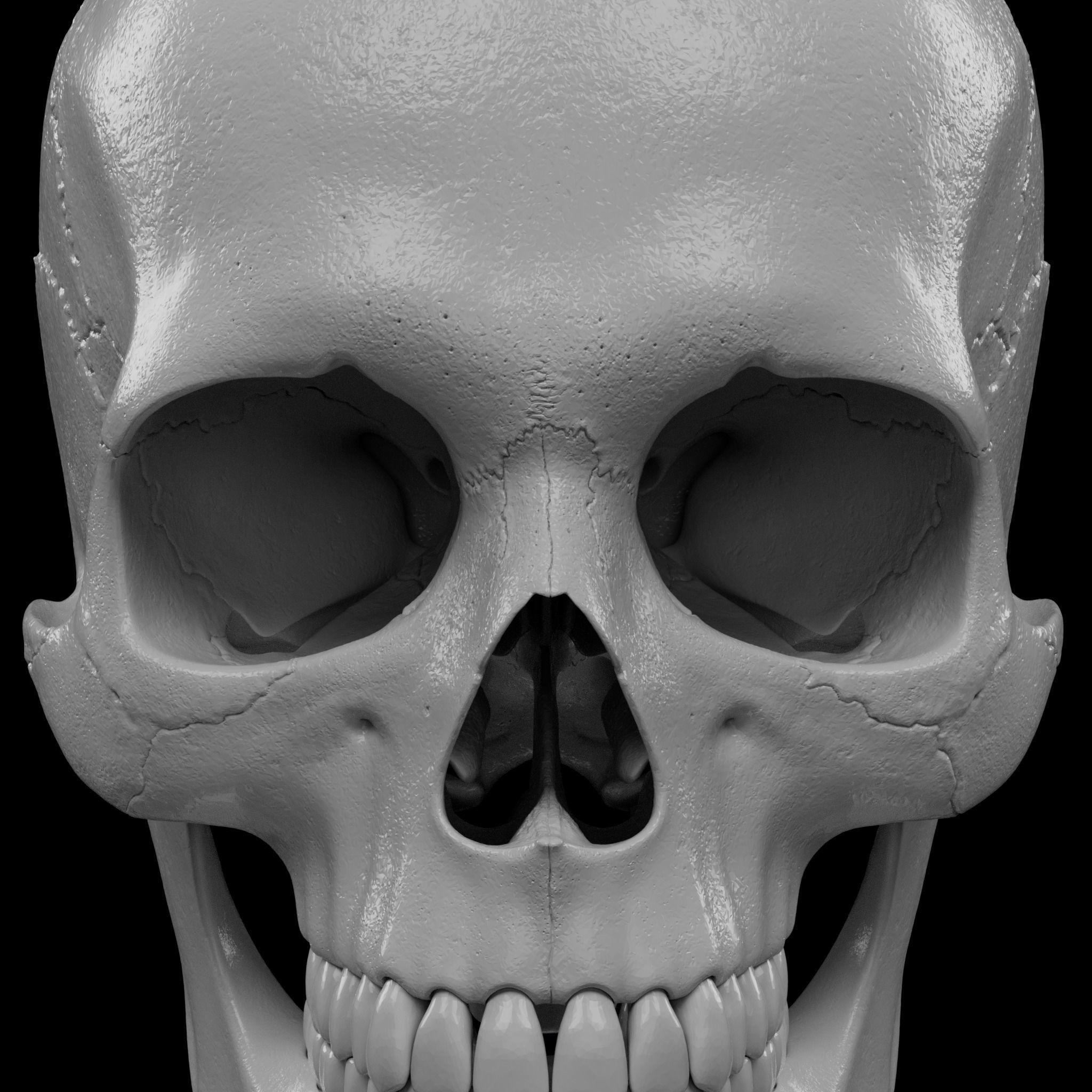 Human Skeleton - 3D Printing 3D print model_74