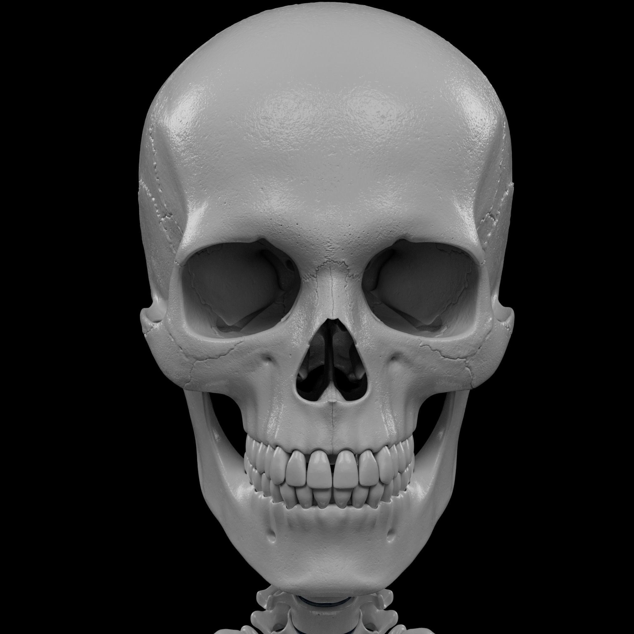 Human Skeleton - 3D Printing 3D print model_36