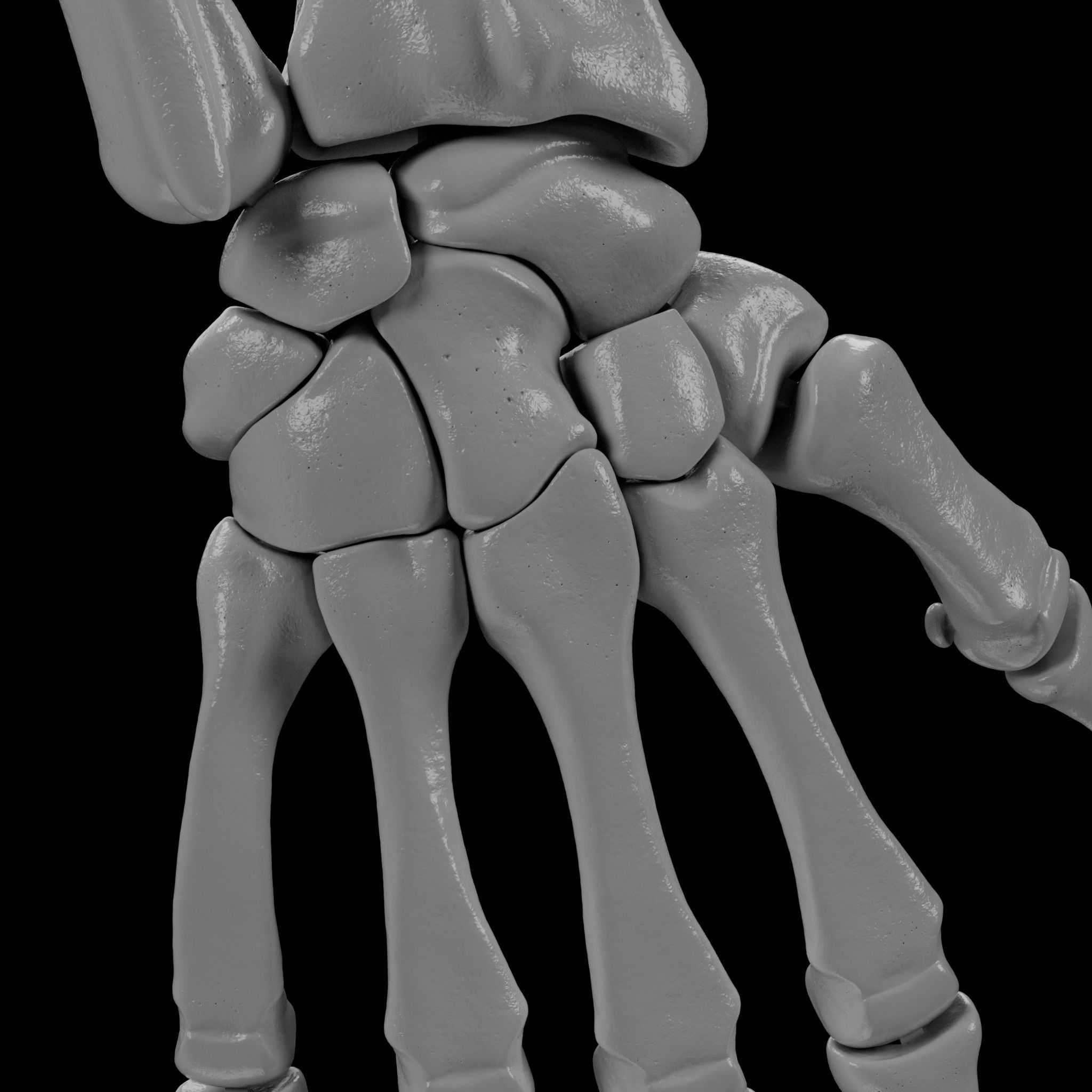 Human Skeleton - 3D Printing 3D print model_128