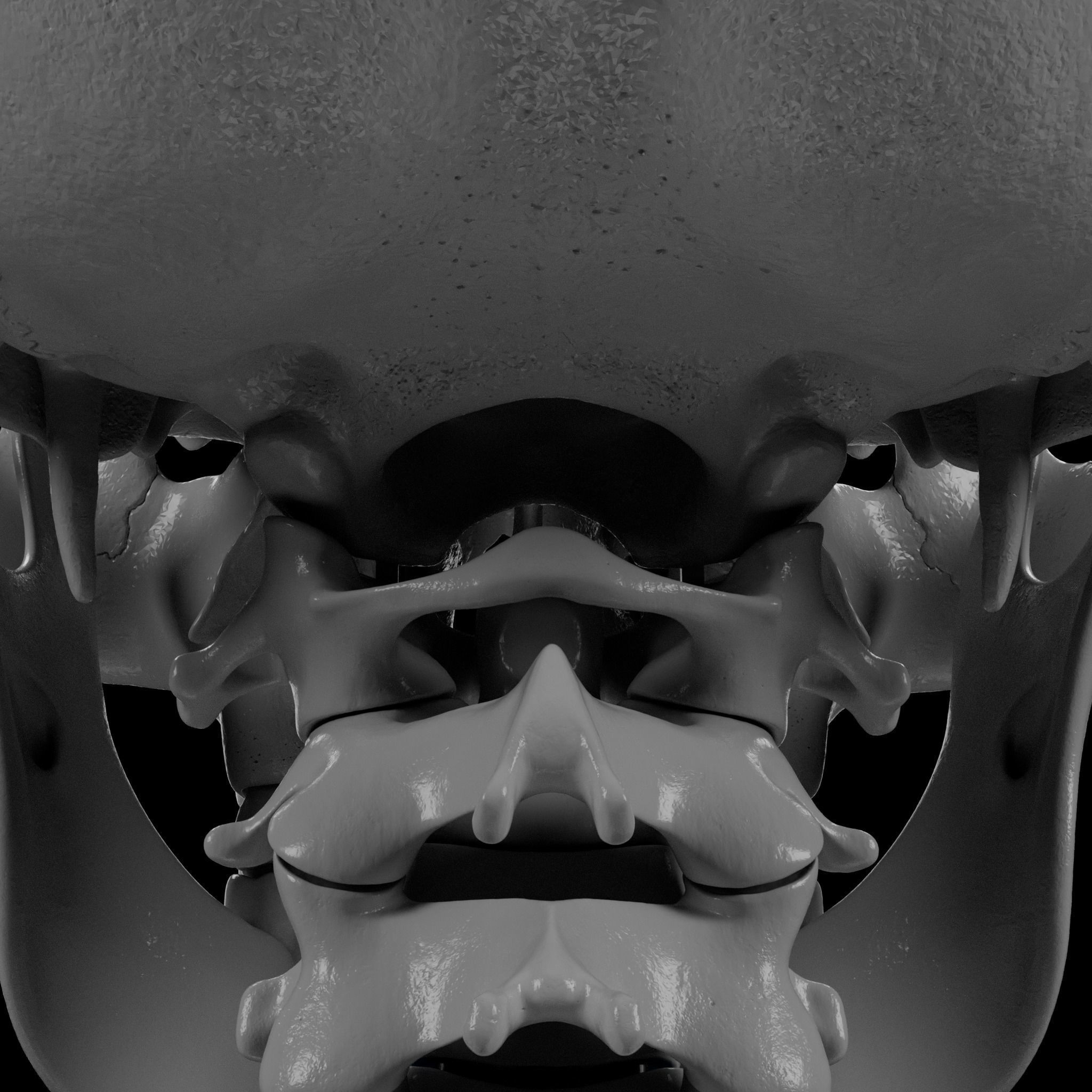 Human Skeleton - 3D Printing 3D print model_76