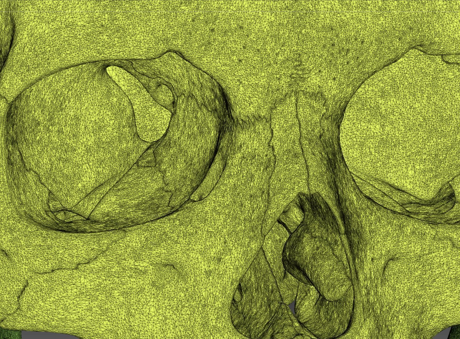 Human Skeleton - 3D Printing 3D print model_149